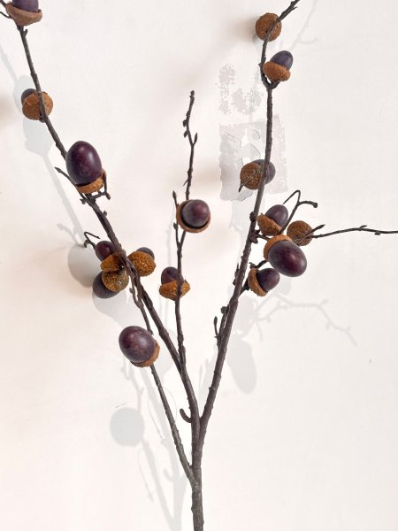عرق بلوط