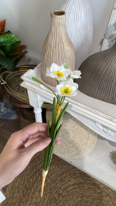 ورد نرجس أبيض