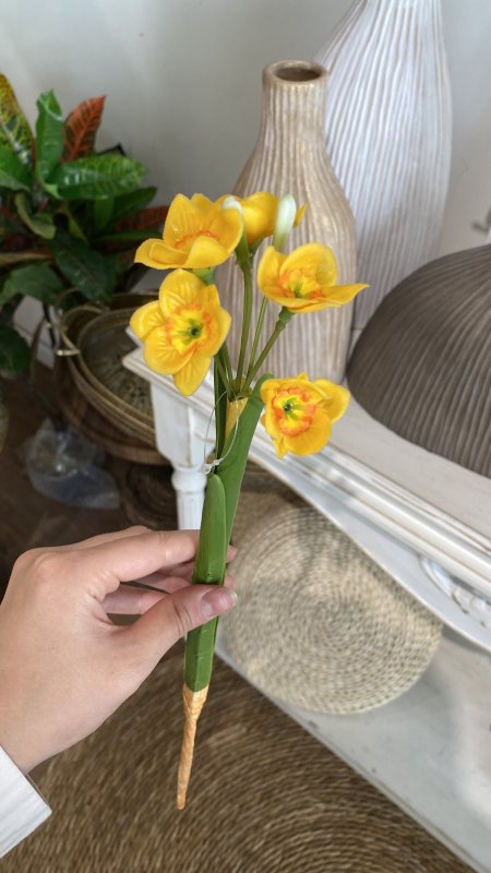 ورد نرجس أصفر